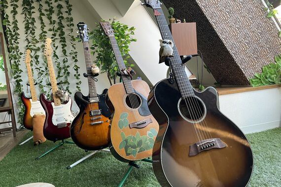 guitar