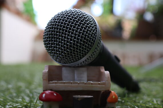 mic