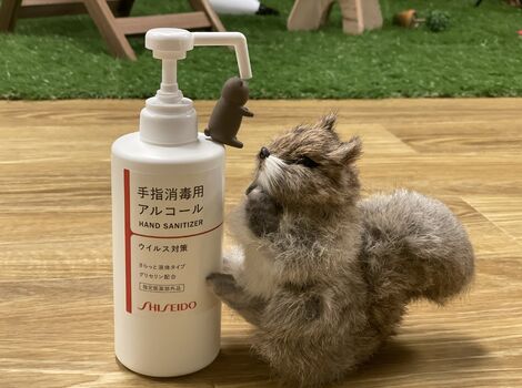alcohol disinfectant
