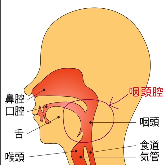 throat