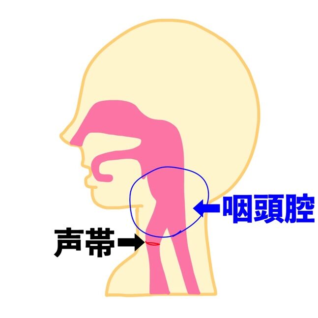 pharyngeal cavity