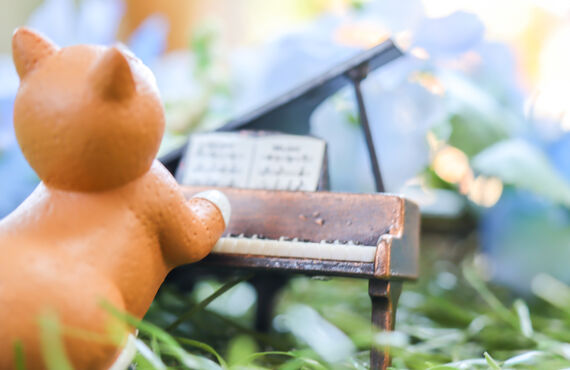 さらに有名になるチャンスが増えて、Lillaミュージックは進化しました！