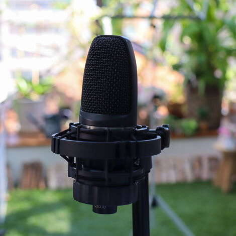 mic