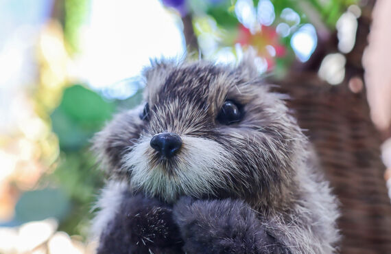 洋楽で英語を勉強するとこんなにもメリットがある!!楽しく歌で学ぼう!!