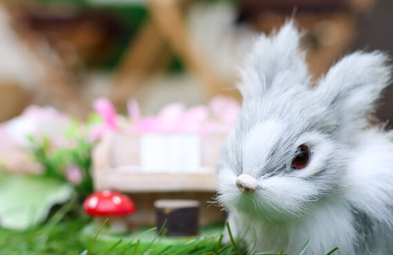 誰でも歌が上手くなる!?大人気Lillaミュージック代表による【すがメソッド】とは!?