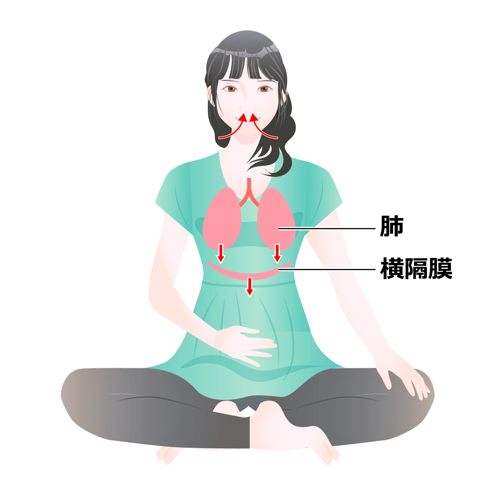 abdominalbreathing