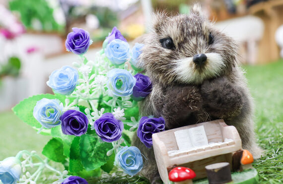 憧れの音楽ライブをしてみませんか？大阪の心斎橋にスタジオがあるLillaミュージックなら格安でライブができちゃう！