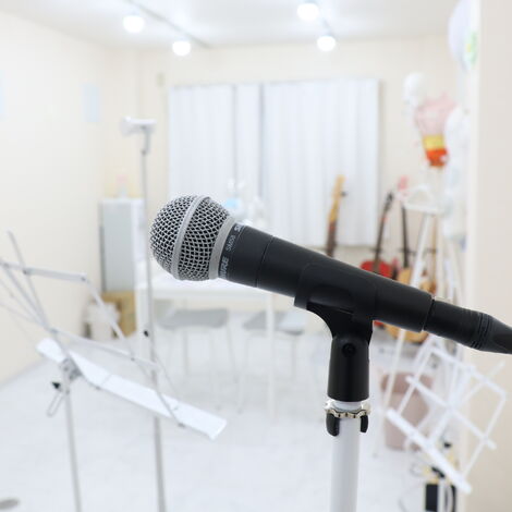 mic
