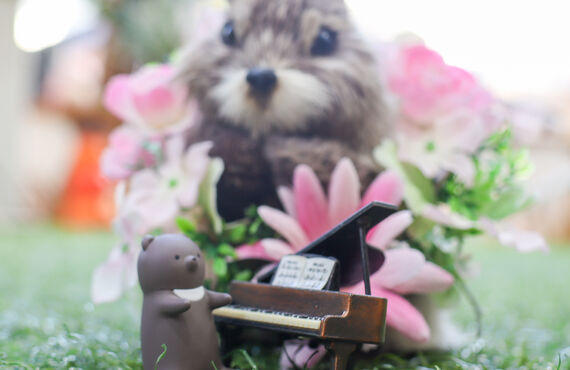 2026年大阪の楽しすぎる音楽教室Lillaミュージックスクールの新年の挨拶。今年も全力で皆様の“楽しい”を作っていきます